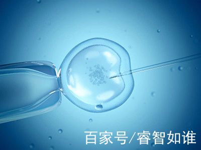 试管代怀生子助孕代妈
